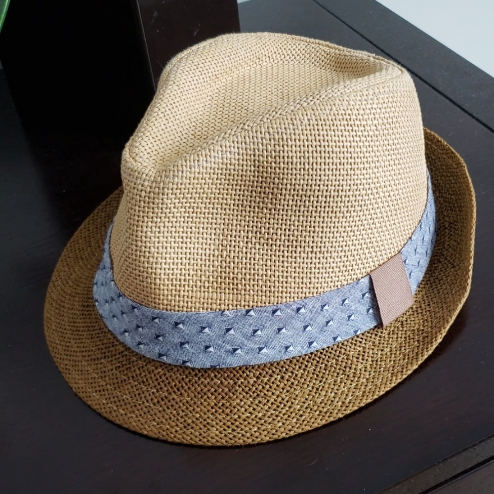 Tan and Blue Fedora